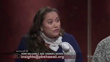 How Valuable Are Our Native Forests? | Insights on PBS Hawai