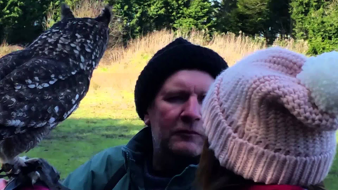 Two lovely Birds.. :) xxx