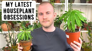 My Latest Houseplant Obsessions
NEW! Join me on Patreon:
https://www.patreon.com/nickpileggi
Use code nick2022 to save 15% from Soltech Solutions:
https://www.soltechsolutions.com
Use code NICK to save 10% on any potting soil from rePotme:
https://www.repotme.com/?rfsn=6269544.b09b93
Amazon:
https://www.amazon.com/shop/nickpileggi
Instagram: @phillyfoliage
Biophytum sensitivum
Anthurium polystichum
Davallia fajeensis
Begonia natunaensis
Peperomia Dragon Skin
Euphorbia leuconeura
#phillyfoliage My Latest Houseplant Obsessions