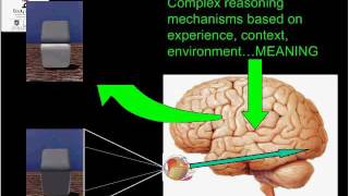 WCPT Congress - Focused symposium: Pain Management