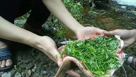 Cá Nướng Trên thác TÊNH PHÔNG( PÀ PỈNH TỘP)  ★TÂY BẮC TRONG TÔI