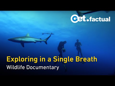 Adventure Ocean Quest - 90 Min Special