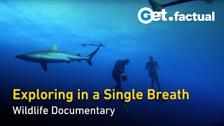 Adventure Ocean Quest - 90 min special | Full Documentary