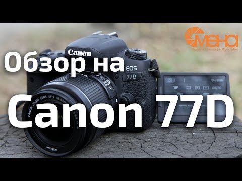 Обзор на Canon 77D (лучший фотоаппарат для новичка)