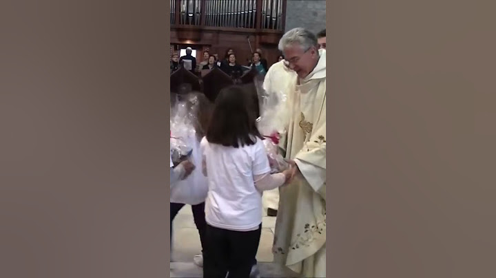 🔆 Daily Holy Mass Live Online🌐 Santa Misa Diaria en Vivo Online #catholicchurch #sacerdotecatolico