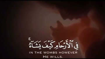 قرءان كريم | سورة آل عمران |القارئ عبد الرحمن مسعد |حالات واتس اب قرءان #quran #قرءان_كريم