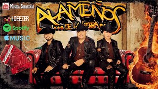 Los Alameños De La Sierra MEGA MIX 🤠 Puro Zapateado y Huapangos Para Bailar - Cumbias Sierreñas mix