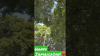 Pop Quiz- What does the colours in the Jamaican flag mean #jamaica