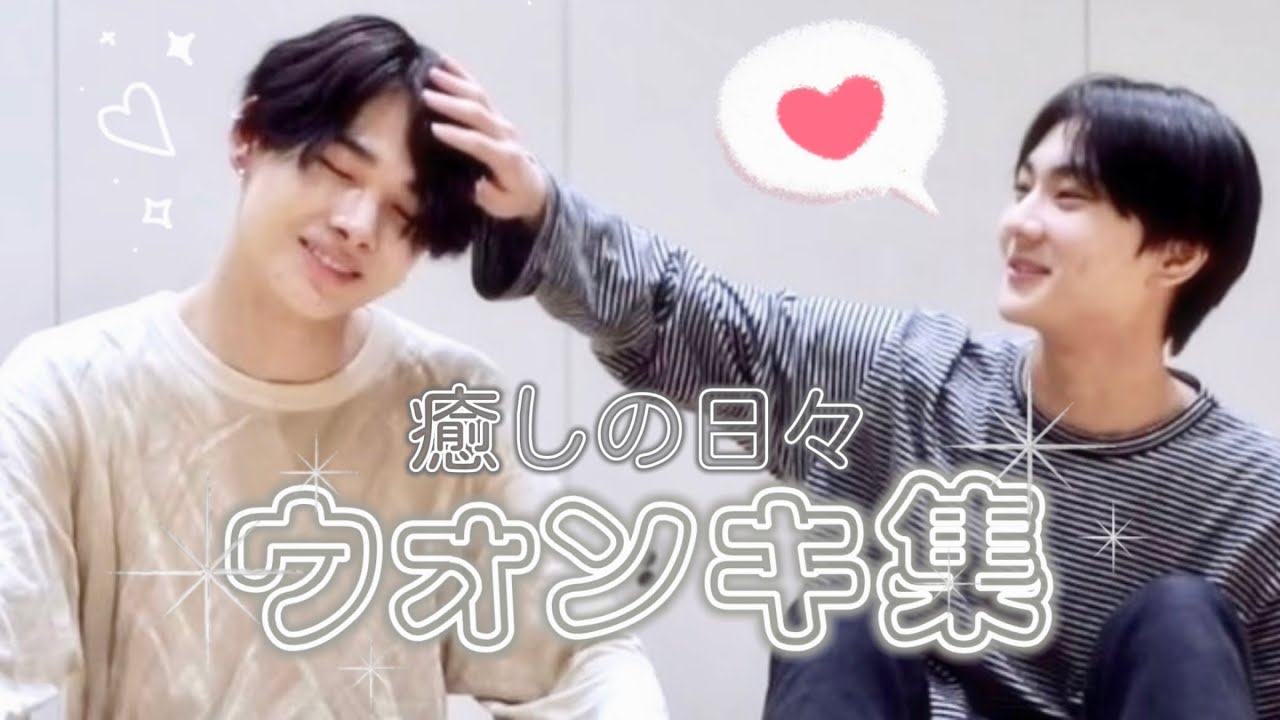 【ENHYPEN 曰本語字幕】癒しの空間ってこゆこと