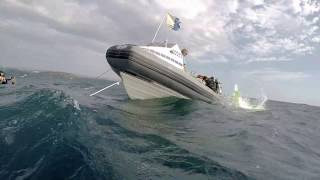 Boat Dive 28/1/19 North Bombi