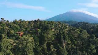 Bali Eco Lodge: Rainforest, Food Forests, Big Views, Natural Swimming Pool