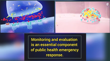 Monitoring and Evaluating data in a flood disaster setting (Public Health Evaluation).