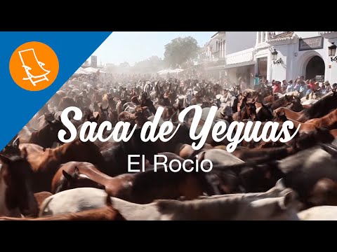 Saca de las Yeguas (El Rocio - Almonte) 2015