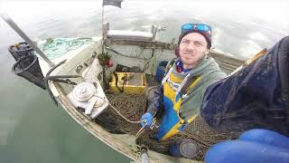 Shrimp Fishing Ireland Heilbhic with Pots full video