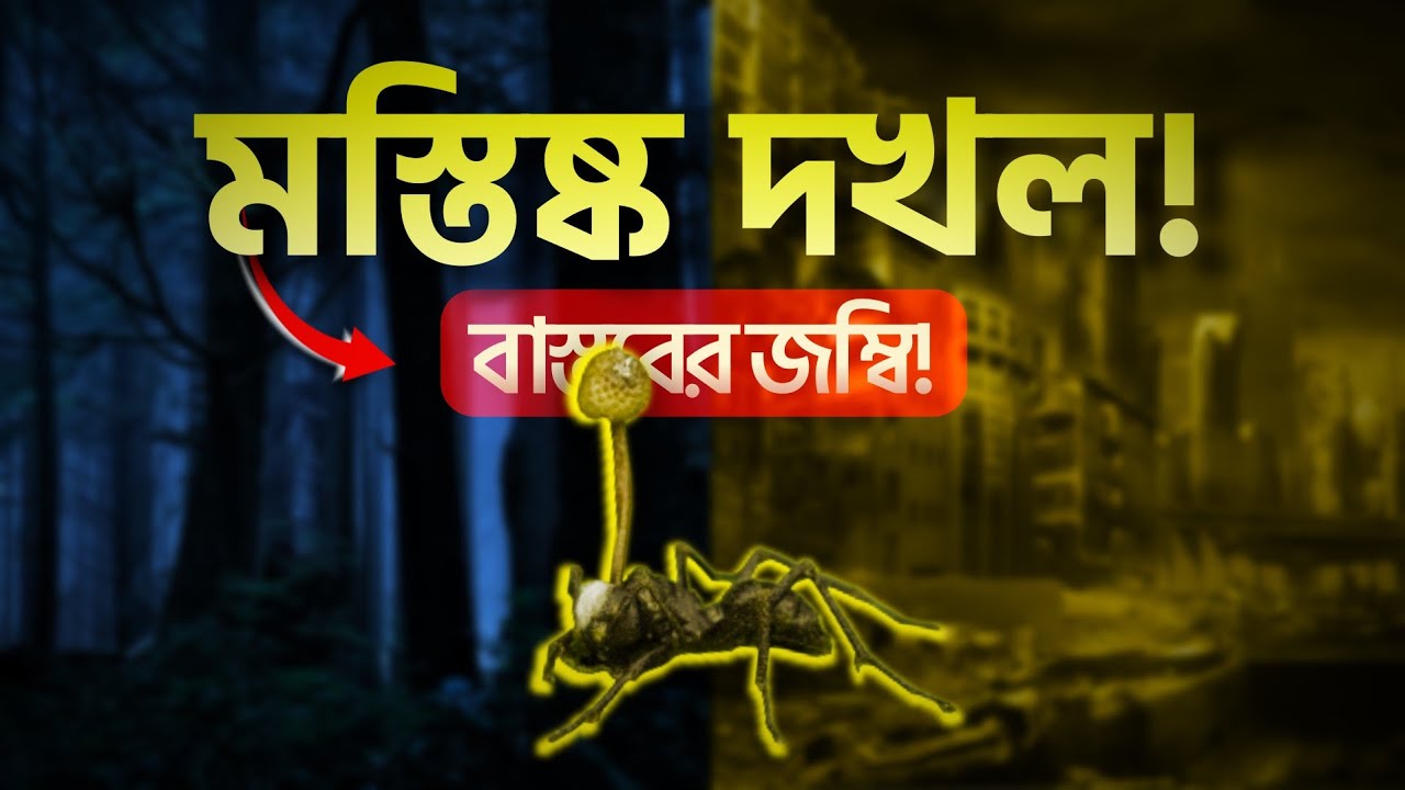 জম্বি-ফাঙ্গাস যেভাবে পিঁপড়াকে হ্যাক করে নেয়: মানুষের ক্ষেত্রেও সম্ভাবনা দেখছেন বিজ্ঞানীরা?