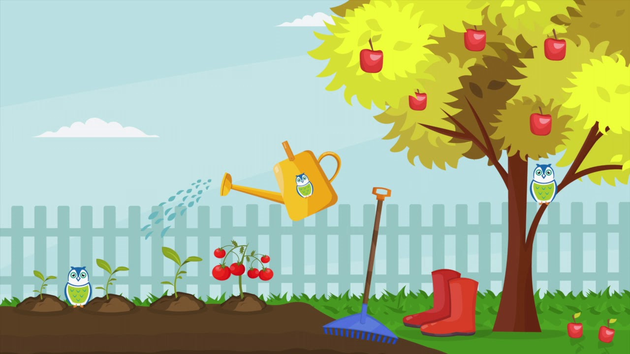 wheresgeorge garden - wheresgeorge garden
