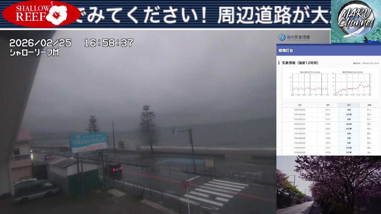 【🔴ライブカメラ配信】津久井浜海岸 三浦海岸 風情報 Yokosuka-Miura Beach Live 2026/2/25 強風/波浪/雷注意報 【波音BGM】