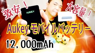 激安！ モバイルバッテリー Aukey AIPower 12000mAh PB-N28 【商品提供動画】