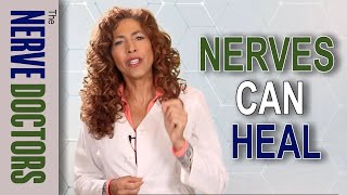 Research Reveals: Nerves Can Heal The Nerve Doctors