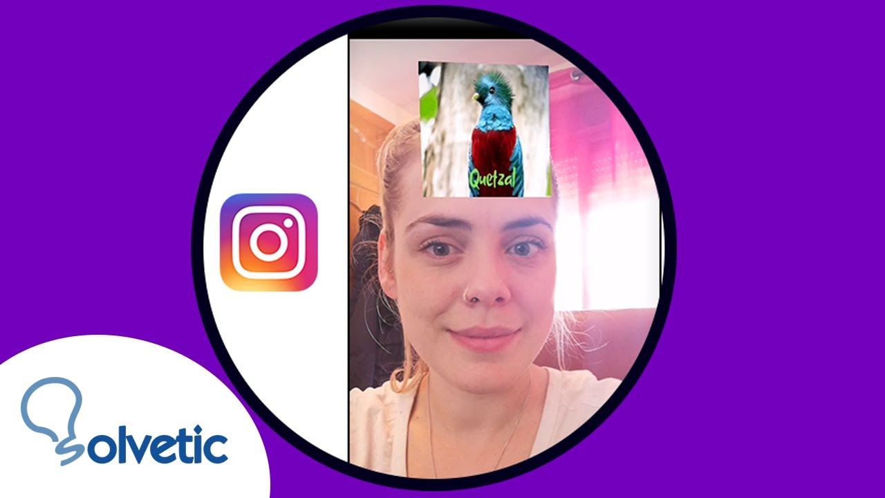 Filtro Instagram Que Animal Eres Youtube