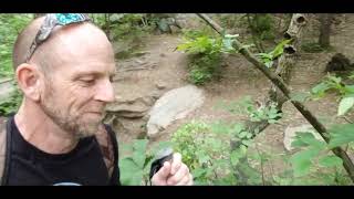 A Hike to Kilgore Falls at Falling Branch on 5/25/19