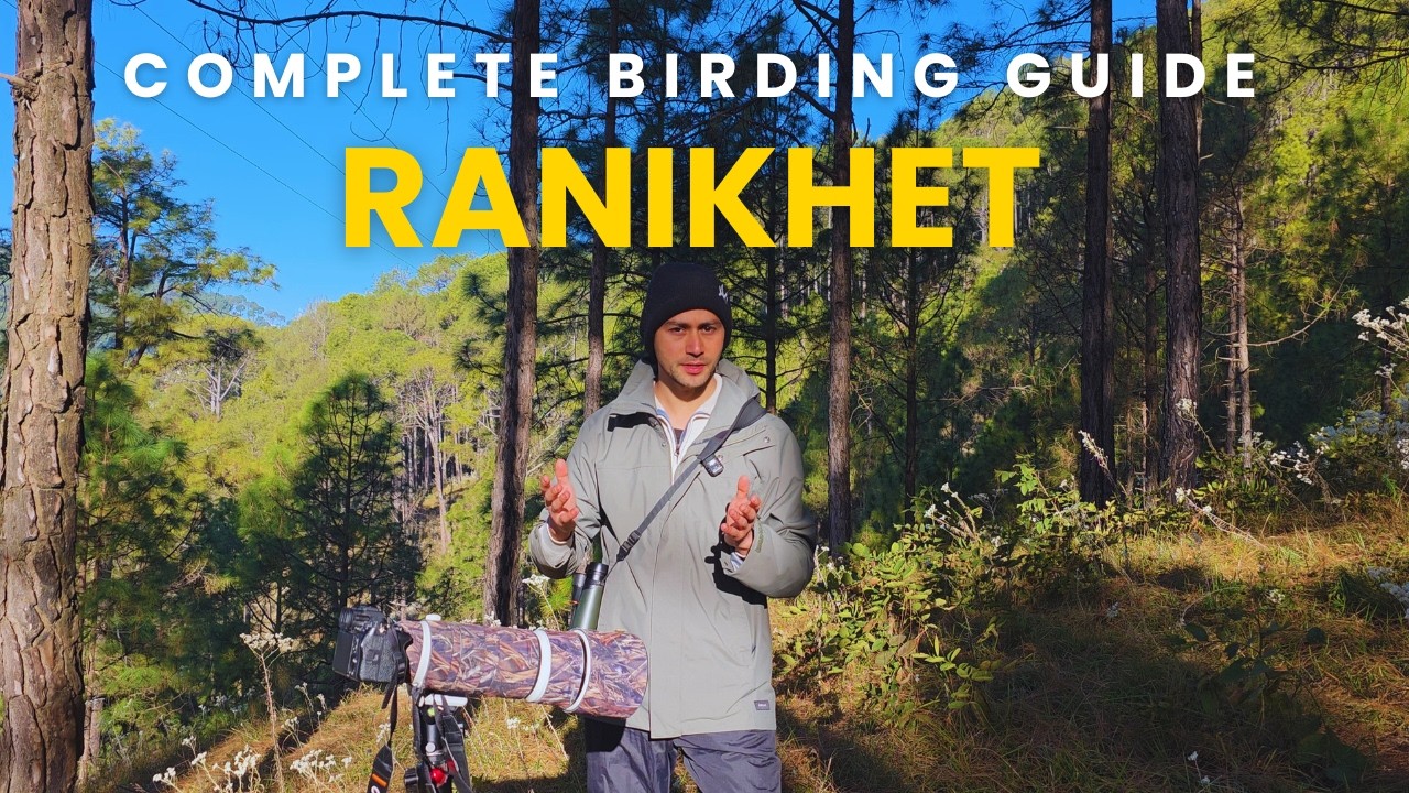 Ranikhet Birding | Cheer & Koklass Pheasant in the Western Himalayas | Himalaya Birding Tours