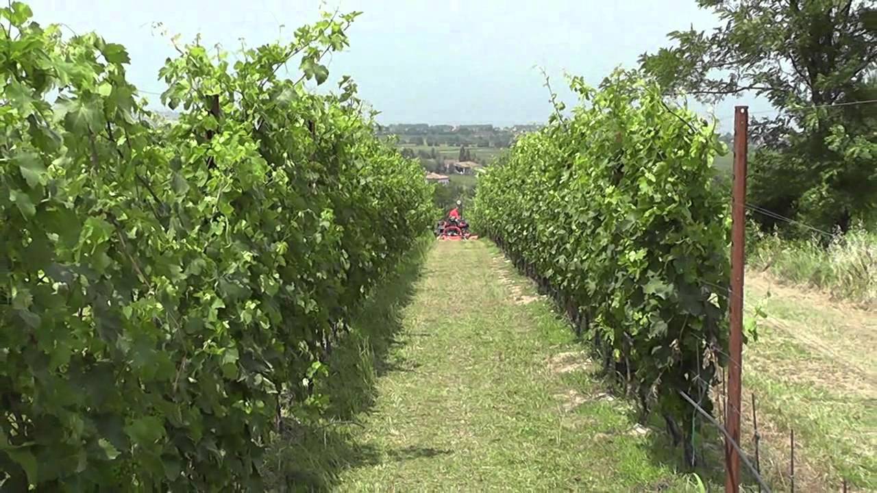 TIV - Tractorum in Vigneto - parte 4