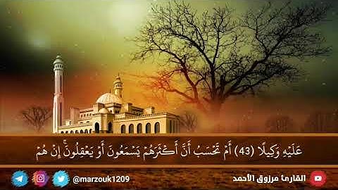 عشائية بديعة للقارئ مرزوق الأحمد الخميس ١٥ - ١٢ - ١٤٤٢ | نهاية الفرقان