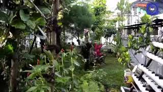 Download Lagu Hymne SMAN 2 Padalarang | Profil SMAN 2 Padalarang MP3