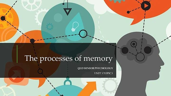 The Processes of Memory - DayDayNews