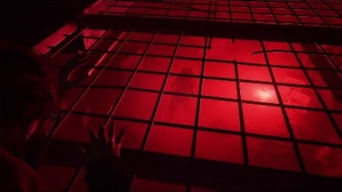 The Last of Us Part II - Gameplay walkthrough part 12 - Shamblers