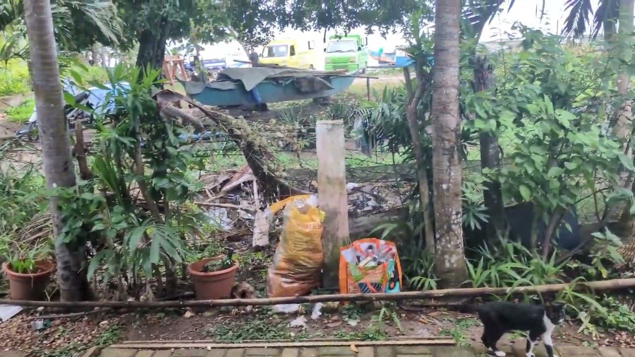 Ostatni dzień na Panglao, moja opinia o tej Filipińskiej wyspie