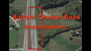 Bigfoot Crosses Road Investigation Tcc Research