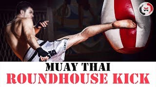 How to throw a Muay Thai Roundhouse Kick