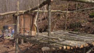 chicken coop grid mountain