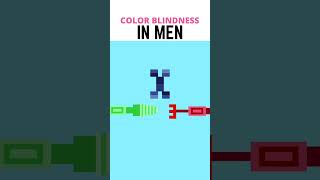 Color Blindness In Men