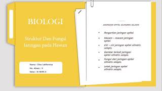 |BIOLOGI XI| JARINGAN EPITEL SILINDRIS SELAPIS PADA HEWAN