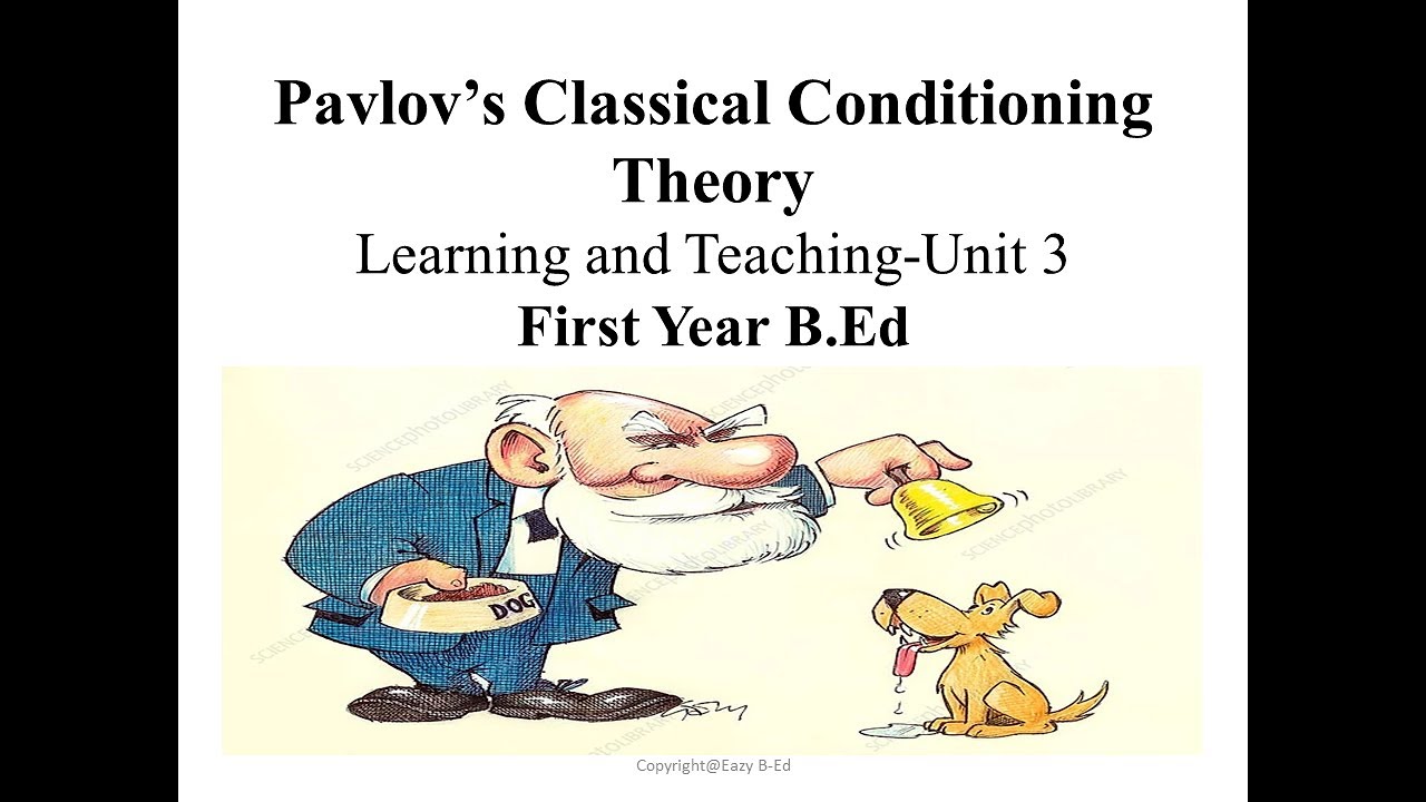 pavlov dog theory pavlov dog theory