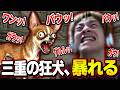 三重の狂犬おえちゃん、声で戦う犬ゲーで暴れ回る【ワンワンバトル】【2026/05/01】