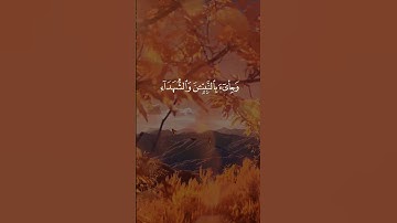 وَأَشرَقَتِ الْأَرْضُ بِنورِ رَبِّهَا وَوضِعَ الْكِتَابُ.. | القارئ عبد الباسط عبد الصمد Abdulbasit