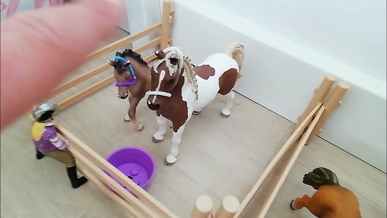 Barn tur+hestenes og menskenes navne - YouTube