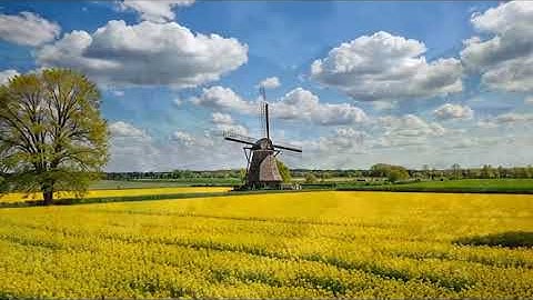 Mưa quá, nuyện dọng !