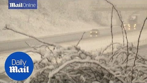 Snow causes havoc across the states - Daily Mail