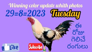 August 29, 2023/Tuesday color update #kukkutasastram#jamulu