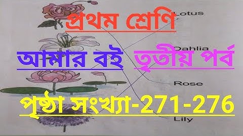 Class-1#amar boi#part-3#page no-271-276, প্রথম শ্রেণী/আমার বই/তৃতীয় পর্ব