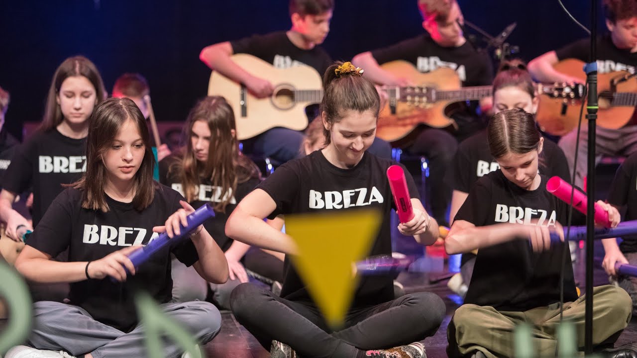 OŠ Brezovica - Rolling In the Deep | FDGS