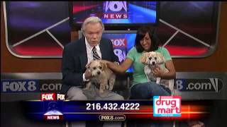 Dick Goddard's Pet Parade Segment from Thursday, Sept. 12th, 2013 WJW-TV