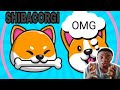 New Shitcoin To Invest On 2021 SHIBACORGI