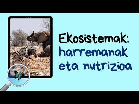 Ekosistemak: harremanak eta nutrizioa