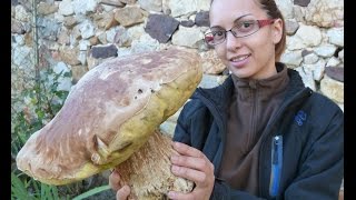 Boletus Edulis XXL gigante, MUST WATCH![HD]